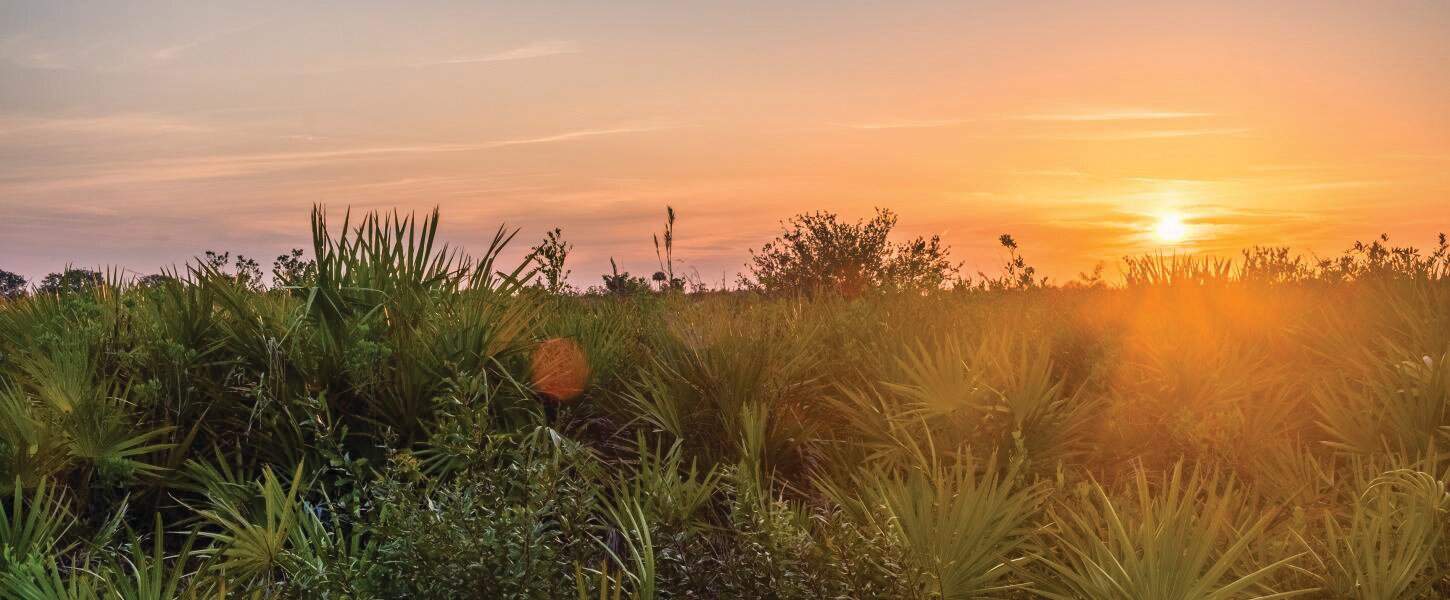 In 1997, the state of Florida acquired 48,000 acres to establish Kissimmee Prairie Preserve State Park.
